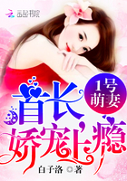 1号萌妻:冷少,娇宠上瘾! 1号萌妻:冷少,娇宠上瘾!
