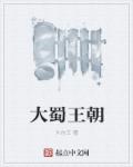 大蜀王朝 大蜀王朝