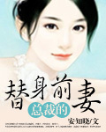 总裁的替身前妻 总裁的替身前妻