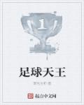 足球天王 足球天王