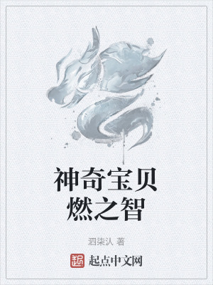 神奇宝贝燃之智 神奇宝贝燃之智