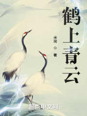 鹤上青云 鹤上青云