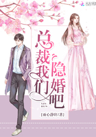 总裁我们隐婚吧 总裁我们隐婚吧