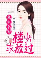 私家名宠:楼少,求放过 私家名宠:楼少,求放过