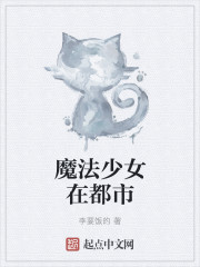 魔法少女在都市 魔法少女在都市