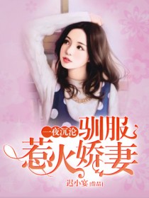 一夜沉沦:驯服惹火娇妻 一夜沉沦:驯服惹火娇妻