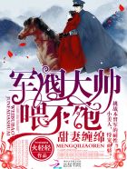 甜妻缠绵:军阀大帅,有点坏 甜妻缠绵:军阀大帅,有点坏