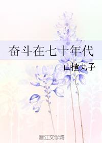 奋斗在七十年代 奋斗在七十年代