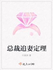 总裁追妻定理 总裁追妻定理